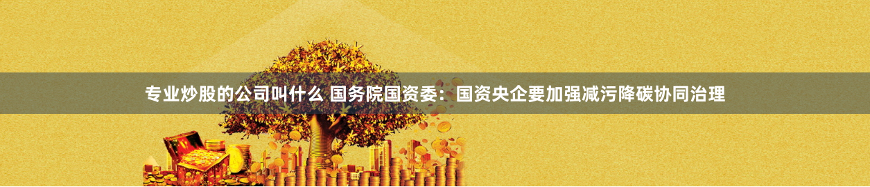 专业炒股的公司叫什么 国务院国资委：国资央企要加强减污降碳协同治理