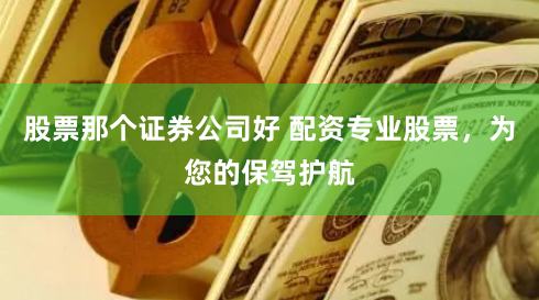 股票那个证券公司好 配资专业股票，为您的保驾护航